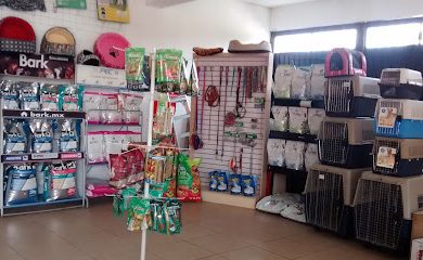 Veterinario Mascotas Morelia