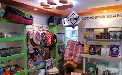 Veterinario Mascotilandia R.A. Hospital , Medicina Preventiva y Peluquería