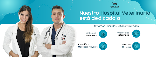 Veterinario Meds for Pets