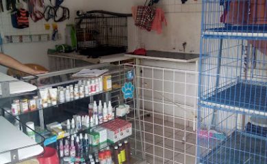 Veterinario Mi mascota