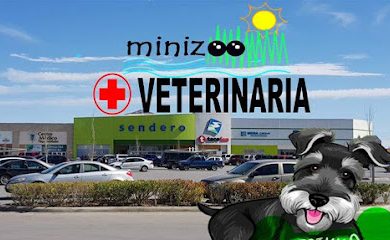 Veterinario Minizoo
