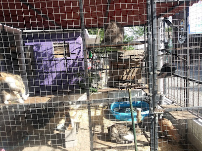 Veterinario Mundo Animal Reynosa