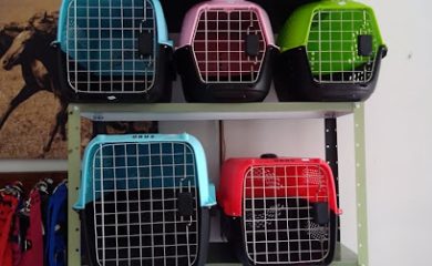 Veterinario PET MASTER VETERINARIA