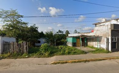Veterinario Pelucán