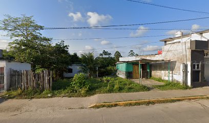 Veterinario Pelucán