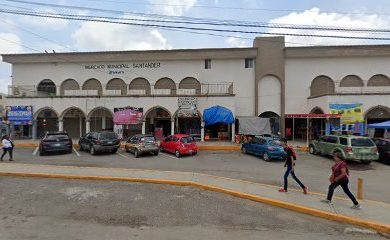 Veterinario Pet shop Altamira by Sexta Mascota