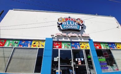 Veterinario Pet's Blue Home