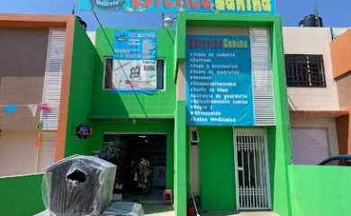 Veterinario Planeta Mascota Zacatecas