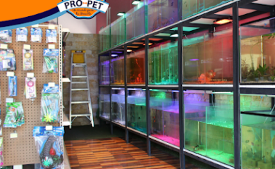 Veterinario Pro-Pet Un mundo para tu mascota