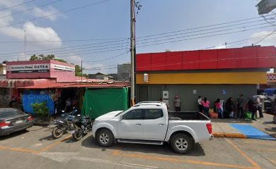 Veterinario Purina