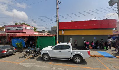 Veterinario Purina