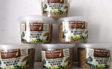 Veterinario Roedores y Alimentos Hermosillo