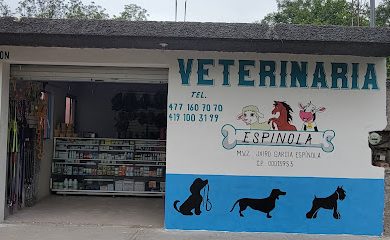 Veterinario Servicios Veterinarios "ESPÍNOLA"