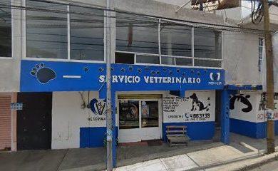 Veterinario Tienda de Mascotas Scooby Doo Veterinaria