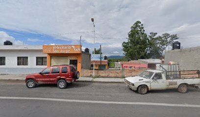 Veterinario VETERINARIA SAN JORGE