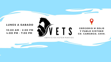 Veterinario VETS Servicios Veterinarios