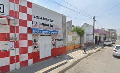 Veterinario Veterinaria