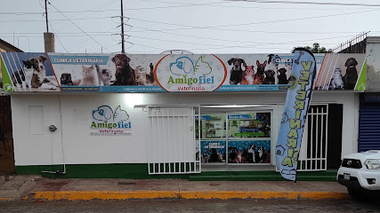 Veterinario Veterinaria Amigo Fiel Guamuchil