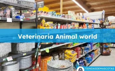 Veterinario Veterinaria Animal world
