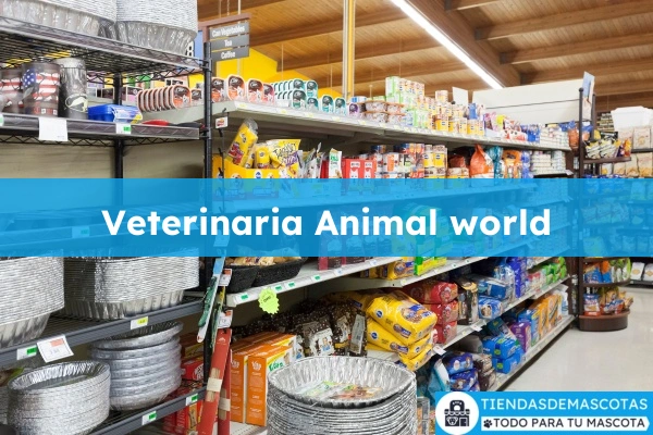Veterinario Veterinaria Animal world