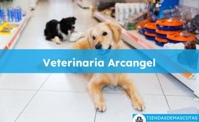 Veterinario Veterinaria Arcangel