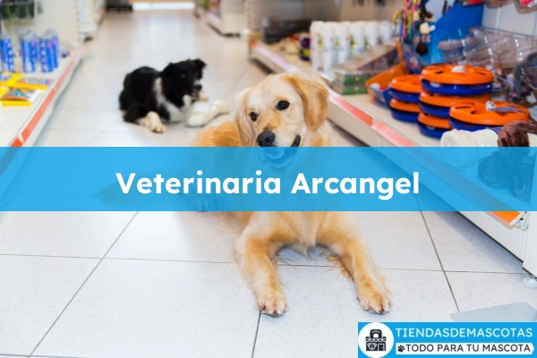 Veterinario Veterinaria Arcangel