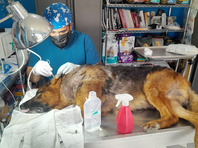 Veterinario Veterinaria Armentum