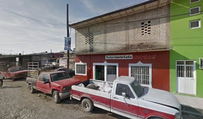 Veterinario Veterinaria Celis