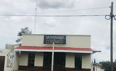 Veterinario Veterinaria Coronado