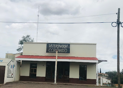 Veterinario Veterinaria Coronado