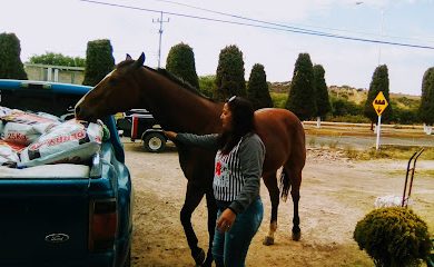 Veterinario Veterinaria ''EL CAPORAL''