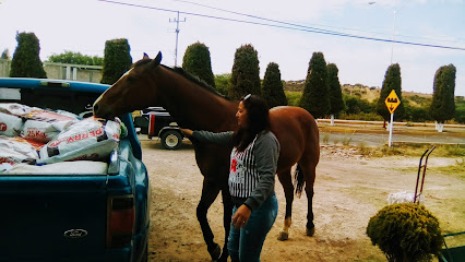Veterinario Veterinaria ''EL CAPORAL''