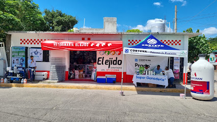 Veterinario Veterinaria El Ejido