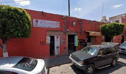 Veterinario Veterinaria El Ejido