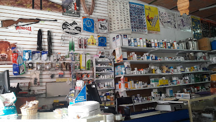Veterinario Veterinaria El Frijolito