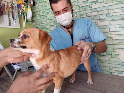 Veterinaria El Percherón en Escuintla, Chiapas.