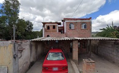 Veterinario Veterinaria Guau Guau
