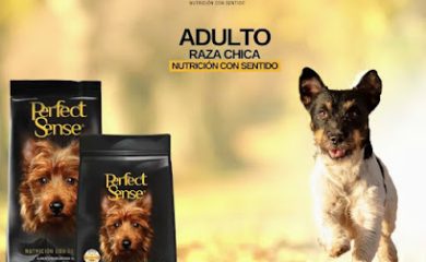Veterinario Veterinaria Guiza Guivet