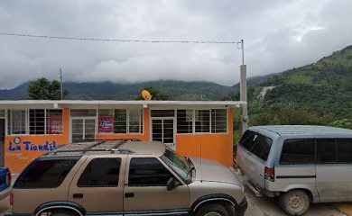 Veterinario Veterinaria Hakuna Matata La Misión