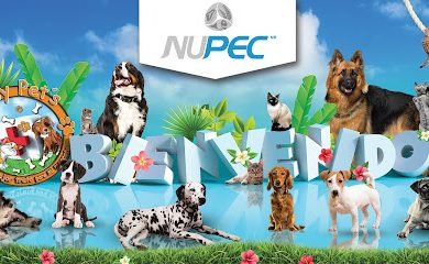Veterinario Veterinaria Happy Pet's