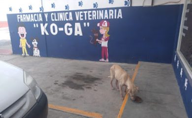 Veterinario Veterinaria "KO-GA"