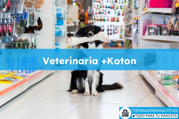 Veterinario Veterinaria +Koton