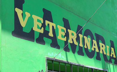Veterinario Veterinaria La Mora