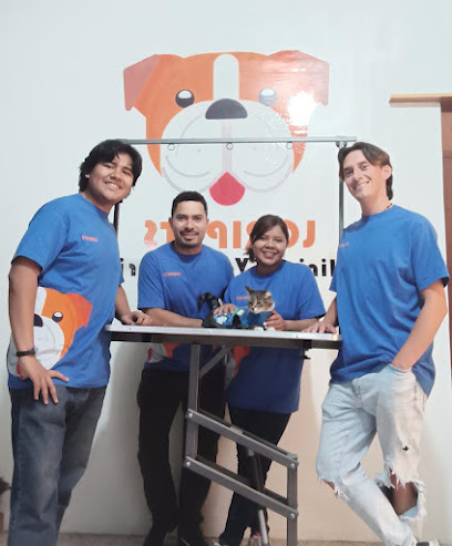 Veterinario Veterinaria Loripets