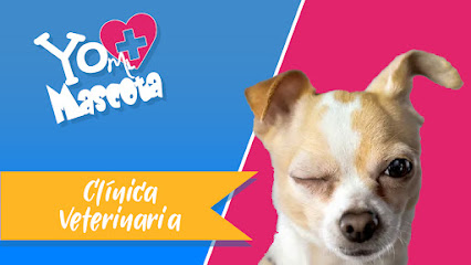 Veterinario Veterinaria Mi Mascota