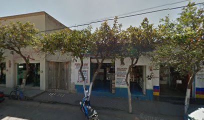 Veterinario Veterinaria Mi Mascota