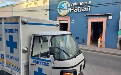 Veterinario Veterinaria Patlan