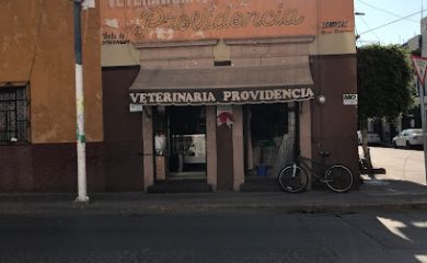 Veterinario Veterinaria Providencia