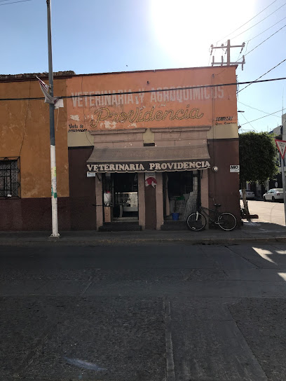 Veterinario Veterinaria Providencia