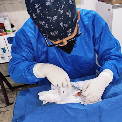 Veterinario Veterinaria "Ruiz"